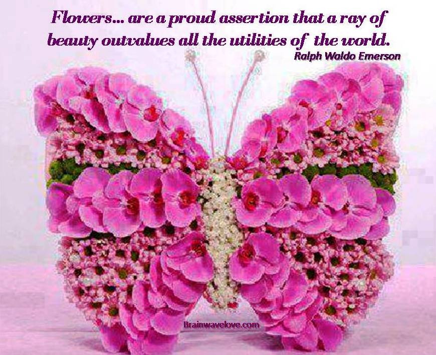 Positive Quotes With Flowers. QuotesGram
